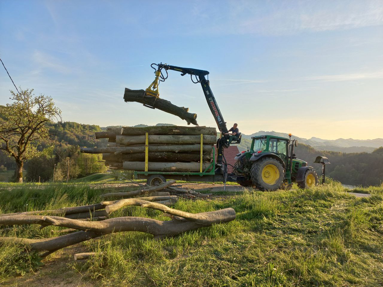 Abtransport Baumstämme