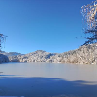 Frost am See