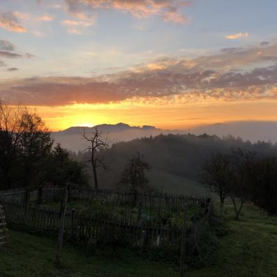 Goldener Sonnenaufgang2024 07 16 15.31.19