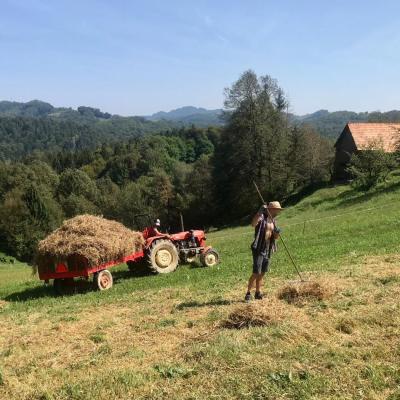 Stroh ernten mit Traktor