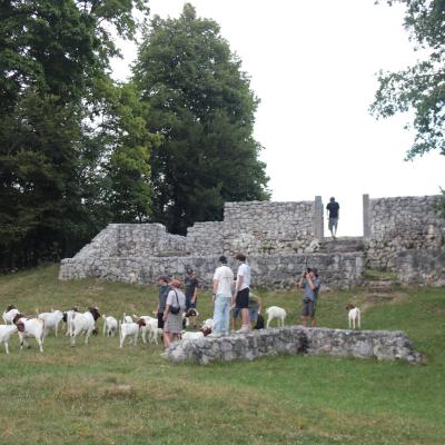 Rifnik Archaologiepark